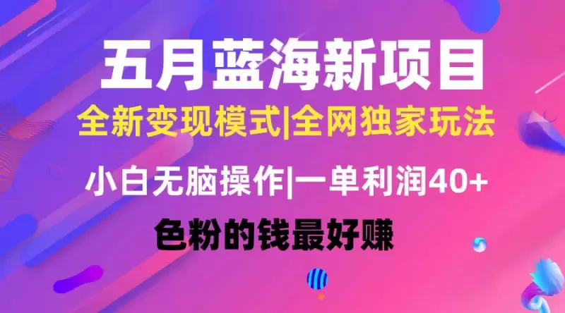 揭秘小白友好的新型网络项目：高效简单的日常操作指南-网赚项目