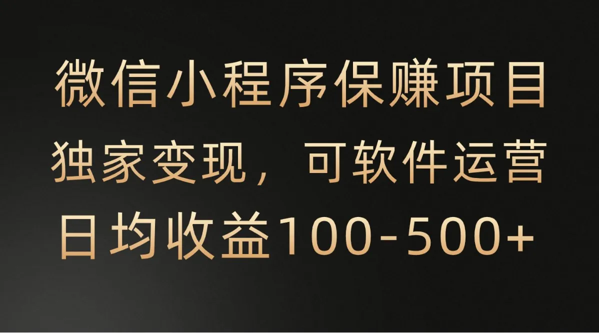 解锁时间自由，稳定收益的微信小程序项目全面解析-网赚项目