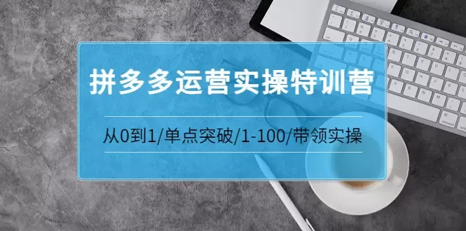 青云: 拼多多运营实操特训营 | 从零到一，打造单点收入增长秘籍-网赚项目