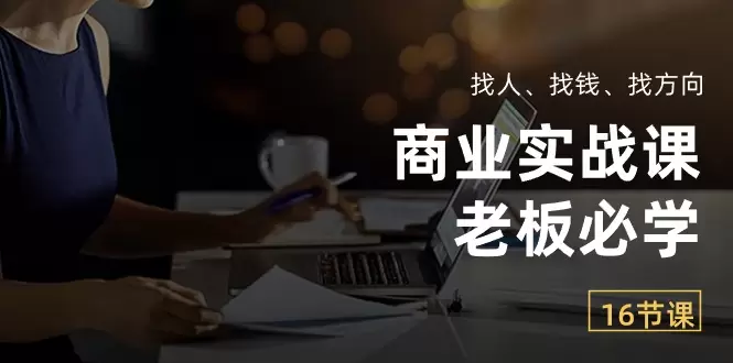 商业实战课【老板必学】：找人、找钱、找方向-网赚项目