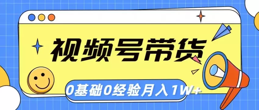 视频号轻创业带货指南：零基础快速上手，轻松实现副业梦想-网赚项目