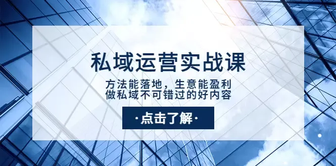 私域运营实战课：掌握核心技能，实现持续增长-网赚项目