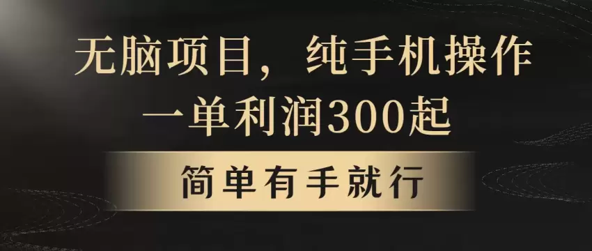 无脑项目，一单几百块，轻松月入增多，看完就能直接操作-网赚项目