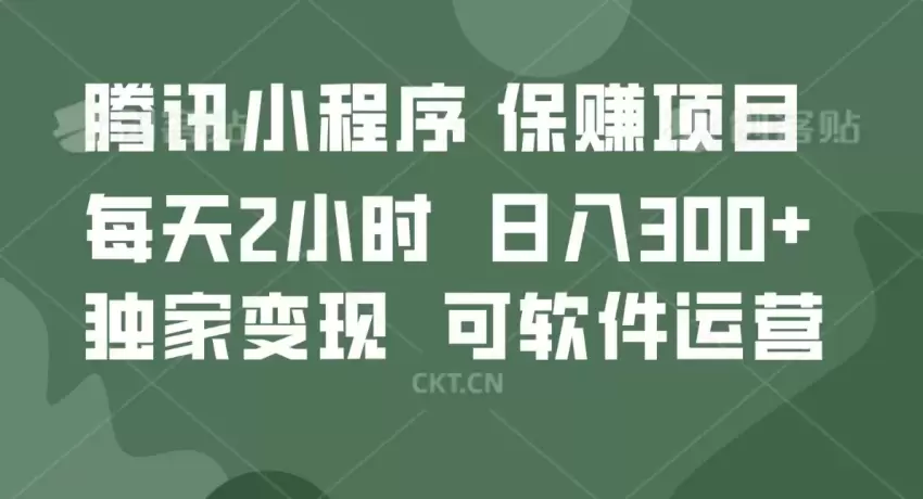 项目，可软件自动运营，稳定有保障，时间自由，永久售后，日均收益增多-网赚项目