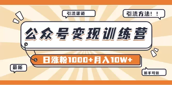 掌握0成本日涨粉1000 的绝妙秘诀！-网赚项目