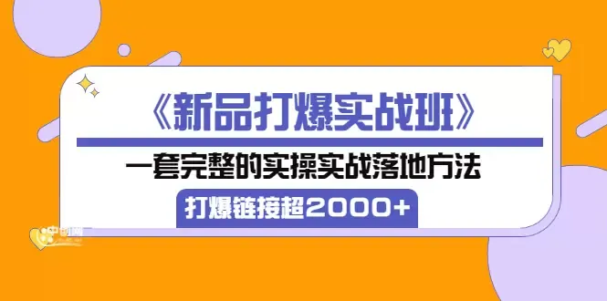 掌握市场“新品打爆”技巧：实战班全解析-网赚项目