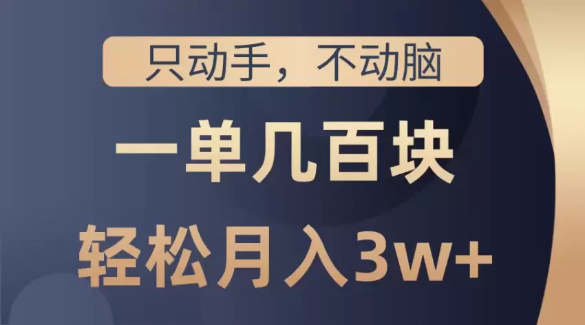 只动手不动脑，一单几百块，轻松月入增多，看完就能直接操作，详细教程-网赚项目