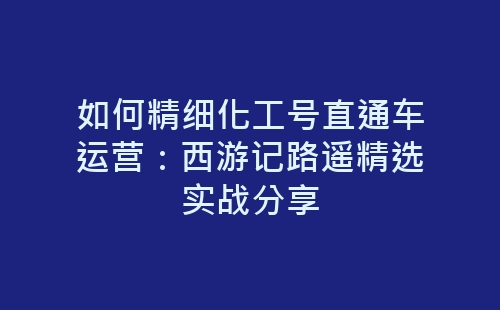 如何精细化工号直通车运营：西游记路遥精选实战分享-网赚项目