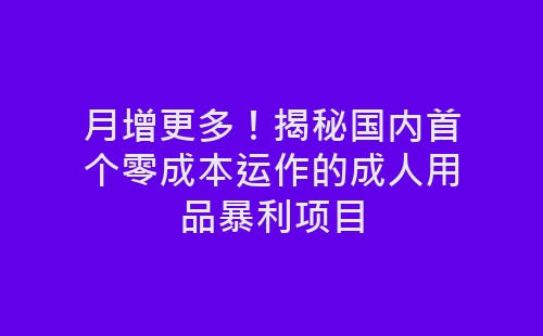 月增更多！揭秘国内首个零成本运作的成人用品暴利项目-网赚项目