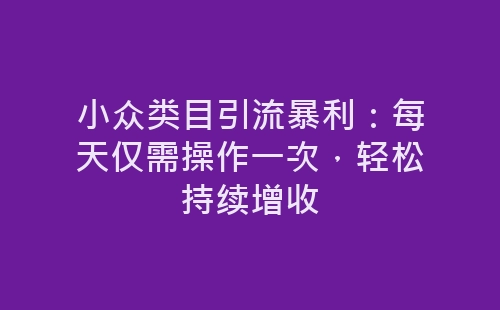 小众类目引流暴利：每天仅需操作一次，轻松持续增收-网赚项目