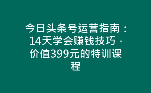 今日头条号运营指南：14天学会赚钱技巧，价值399元的特训课程-网赚项目