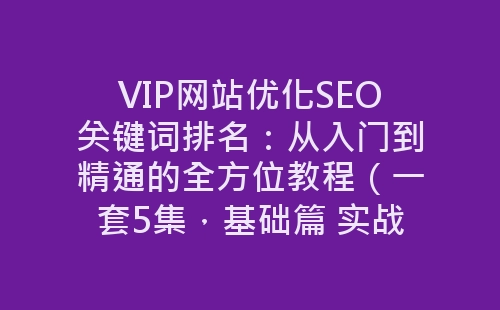 VIP网站优化SEO关键词排名：从入门到精通的全方位教程（一套5集，基础篇 实战运营篇）-网赚项目