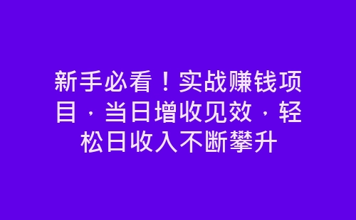 新手必看！实战赚钱项目，当日增收见效，轻松日收入不断攀升-网赚项目