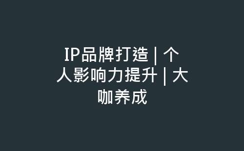 IP品牌打造 | 个人影响力提升 | 大咖养成-网赚项目