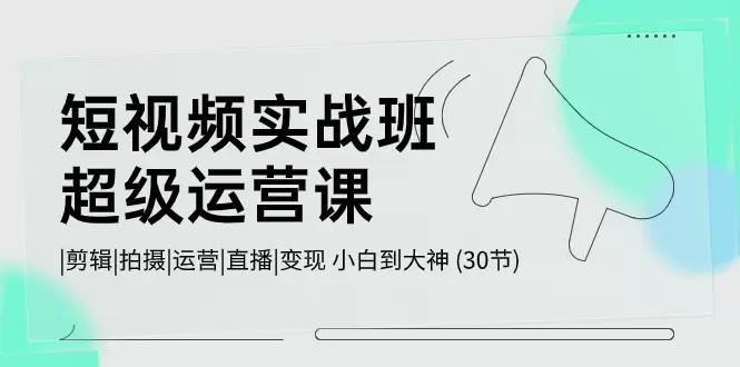 从短视频小白到大神的超级运营攻略：拍摄、剪辑、运营与变现技巧大揭秘-网赚项目