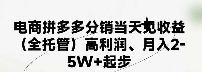 从小白到拼多多大卖家：优质项目揭秘及运营技巧-网赚项目