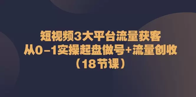 短视频平台流量攻略：从零开始打造高效账号和内容创意-网赚项目