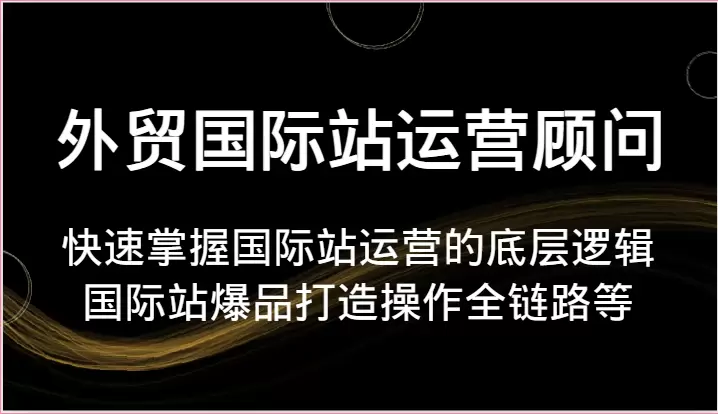 快速掌握国际站运营底层逻辑：打造国际站爆品的全链路操作-网赚项目