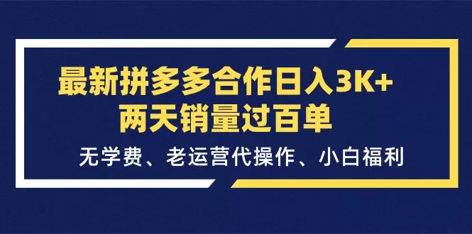 拼多多代运营技巧分享：如何快速提升店铺销量-网赚项目