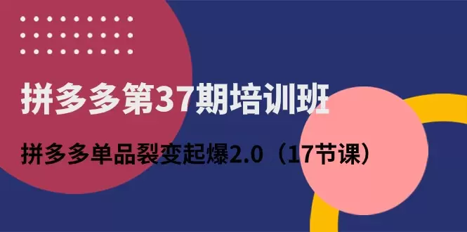 拼多多单品裂变：实战经验分享与技巧提升-网赚项目