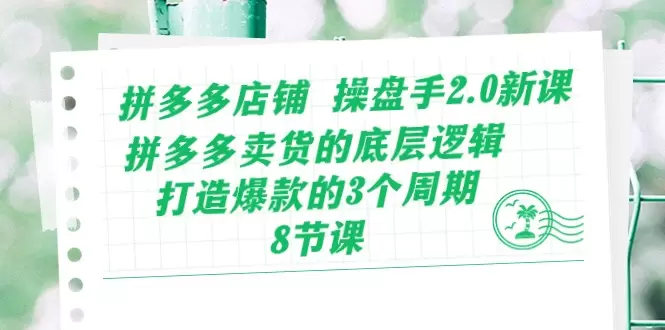 拼多多店铺运营秘诀：如何通过底层逻辑打造爆款-网赚项目