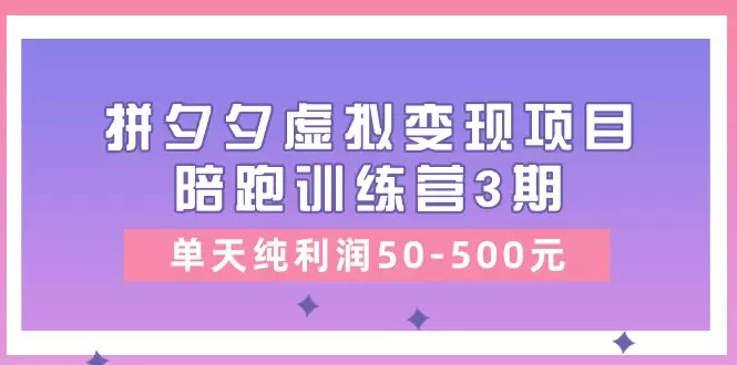 轻松掌握拼夕夕虚拟变现：从开店到优化的全方位指南-网赚项目