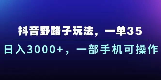 如何利用抖音野路子玩法提升影响力：一部手机搞定-网赚项目