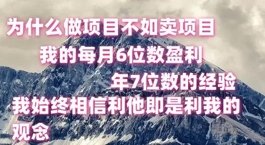 如何通过卖项目提高盈利：激发潜力的实战经验-网赚项目