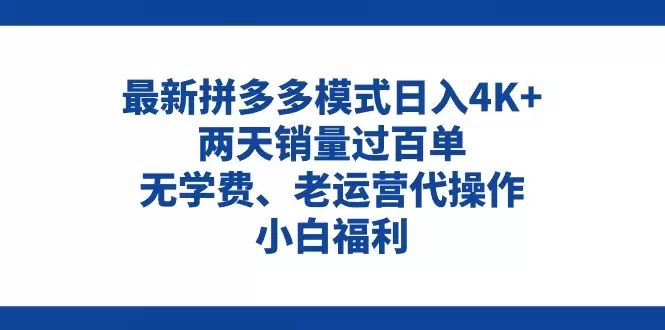 如何通过拼多多最新运营模式轻松提升销量-网赚项目