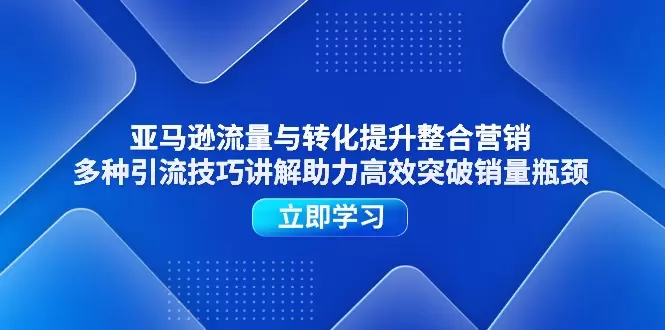 深度解析亚马逊多渠道引流与转化技巧，打破销量瓶颈的实战指南-网赚项目