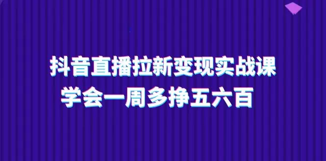 深入解析抖音直播拉新技巧，提升用户粘性与转化-网赚项目