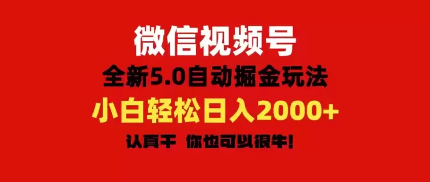 微信视频号自动托管系统详解：高效掘金新玩法揭秘-网赚项目