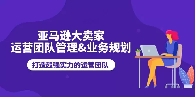 亚马逊大卖家运营团队管理：打造高效运营团队的实战指南-网赚项目