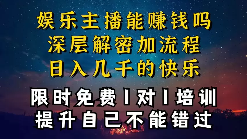 娱乐主播如何有效变现：低流量直播间的成功秘籍-网赚项目