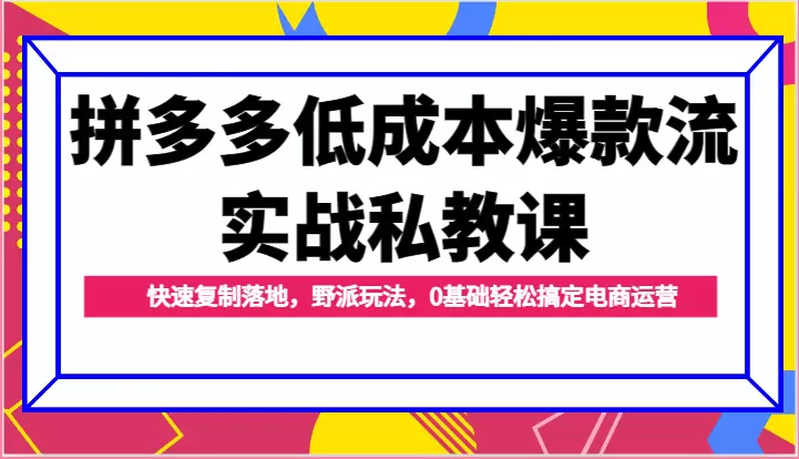 掌握拼多多电商运营：低成本爆款打造技巧大揭秘-网赚项目