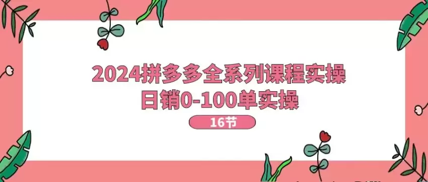 掌握拼多多开店全攻略：从零开始到月销百单的实操技巧-网赚项目