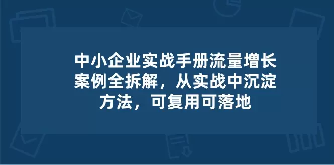 中小企业实操手册：成功流量增长案例解析-网赚项目