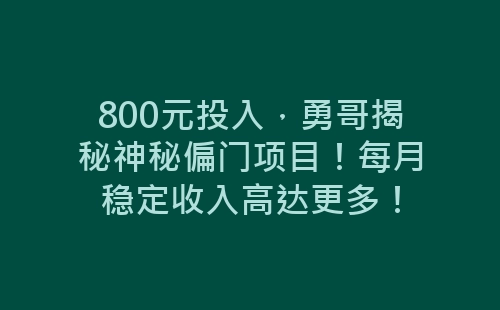 800元投入，勇哥揭秘神秘偏门项目！每月稳定收入高达更多！-网赚项目