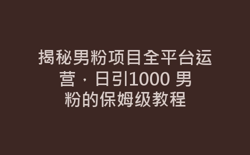 揭秘男粉项目全平台运营，日引1000 男粉的保姆级教程-网赚项目