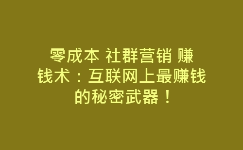 零成本 社群营销 赚钱术：互联网上最赚钱的秘密武器！-网赚项目