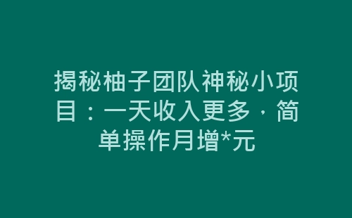 揭秘柚子团队神秘小项目：一天收入更多，简单操作月增*元-网赚项目