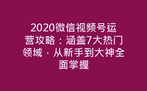 2020微信视频号运营攻略：涵盖7大热门领域，从新手到大神全面掌握-网赚项目