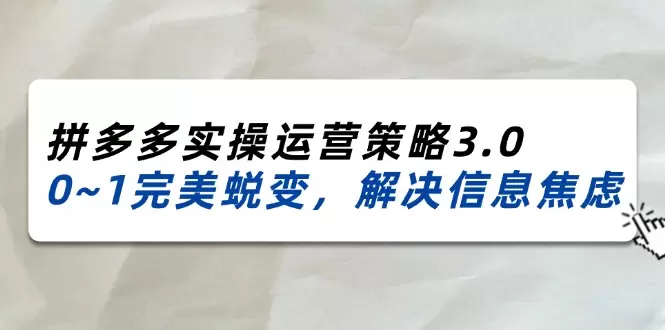 2024-2025拼多多实操运营策略：从0到1的完美蜕变-网赚项目