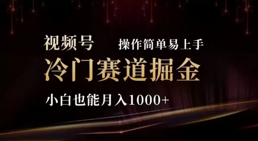 2024年视频号冷门赛道挖掘指南：轻松上手，小白也能掌握的操作技巧-网赚项目