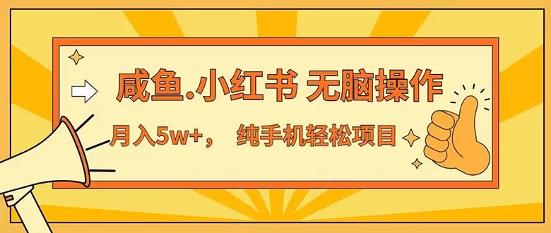 2024年暑假最赚钱的手机操作项目揭秘，每单利润高达500 ！-网赚项目