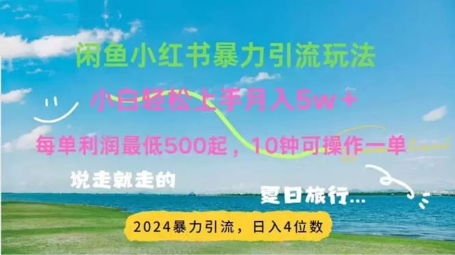 2024暑假超赚钱方法揭秘！小红书咸鱼引流项目详解-网赚项目