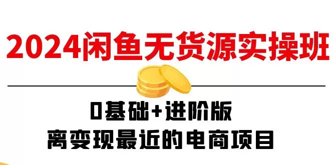 2024闲鱼无货源实操指南：从0基础到进阶，轻松掌握变现的电商技巧！-网赚项目