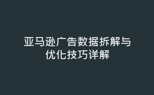 亚马逊广告数据拆解与优化技巧详解-网赚项目