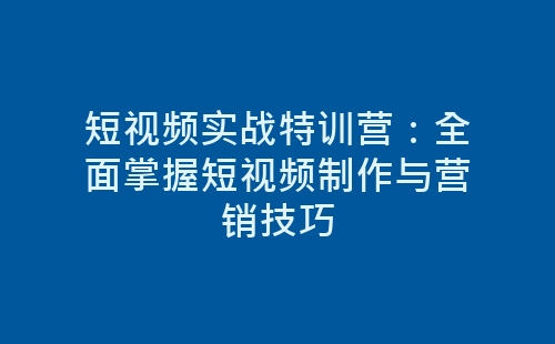 短视频实战特训营：全面掌握短视频制作与营销技巧-网赚项目