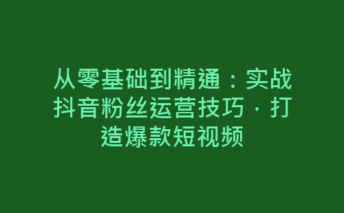 从零基础到精通：实战抖音粉丝运营技巧，打造爆款短视频-网赚项目